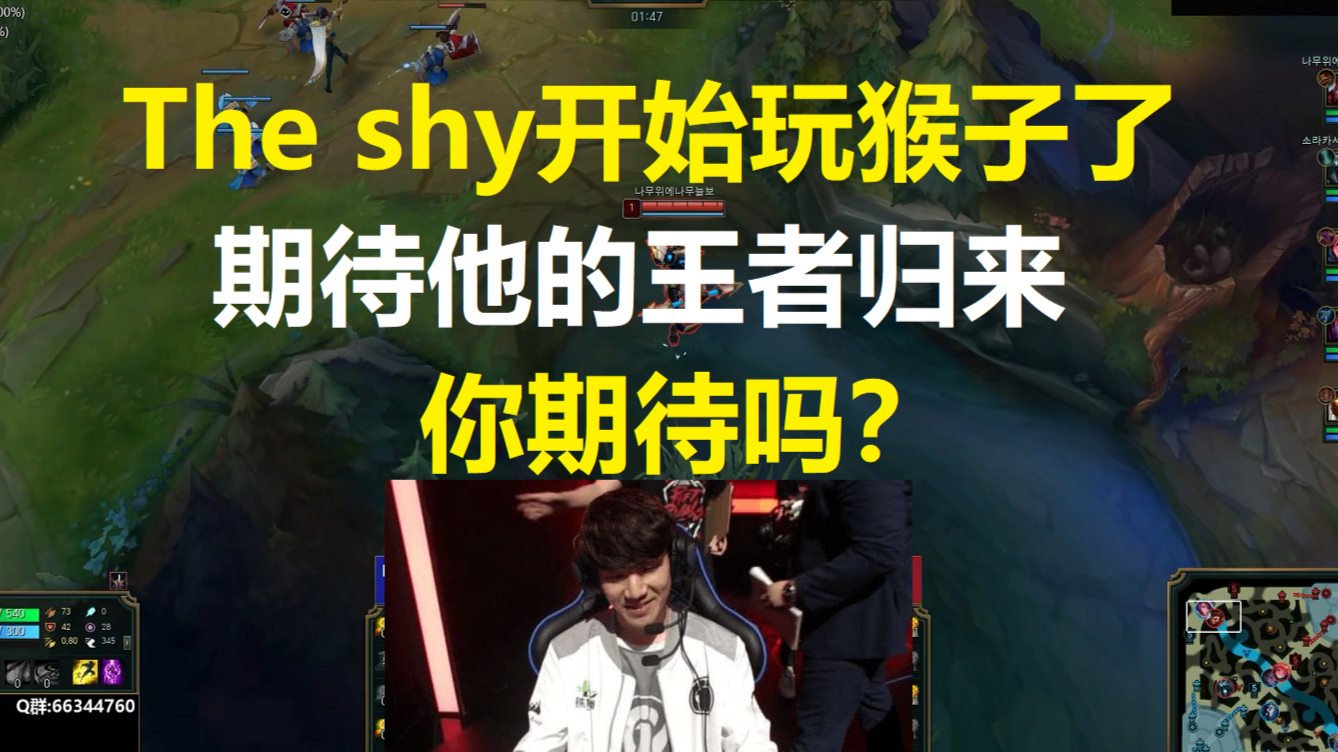 The shy的猴子他来了,期待他的王者归来